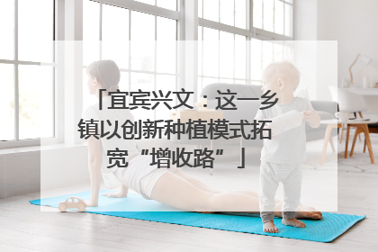 宜宾兴文：这一乡镇以创新种植模式拓宽“增收路”