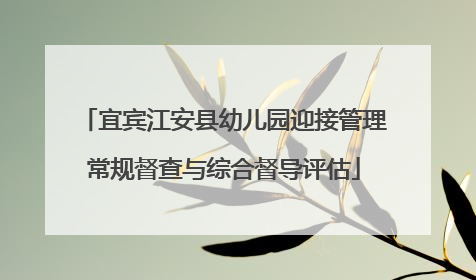 宜宾江安县幼儿园迎接管理常规督查与综合督导评估