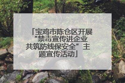 宝鸡市陈仓区开展“禁毒宣传进企业 共筑防线保安全”主题宣传活动
