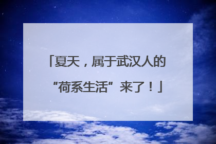 夏天，属于武汉人的“荷系生活”来了！