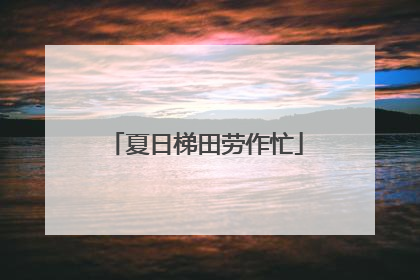 夏日梯田劳作忙
