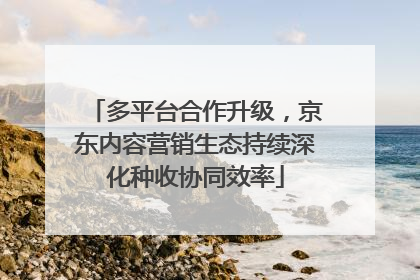 多平台合作升级，京东内容营销生态持续深化种收协同效率