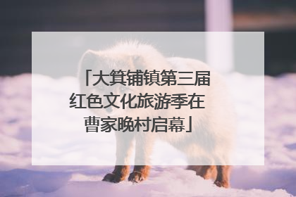 大箕铺镇第三届红色文化旅游季在曹家晚村启幕