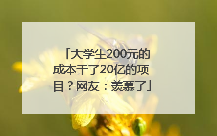 大学生200元的成本干了20亿的项目？网友：羡慕了