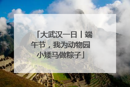大武汉一日丨端午节，我为动物园小矮马做粽子