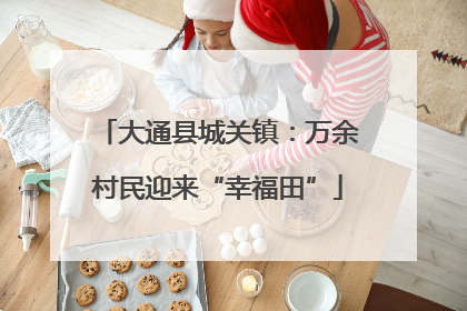 大通县城关镇：万余村民迎来“幸福田”