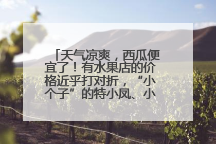 天气凉爽，西瓜便宜了！有水果店的价格近乎打对折，“小个子”的特小凤、小糖丸更好卖