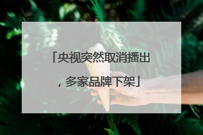 央视突然取消播出，多家品牌下架