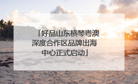 好品山东横琴粤澳深度合作区品牌出海中心正式启动