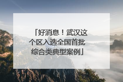 好消息！武汉这个区入选全国首批综合类典型案例