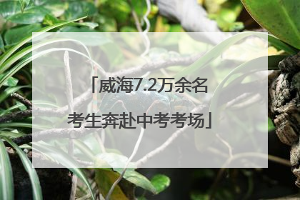 威海7.2万余名考生奔赴中考考场