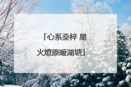 心系桑梓 星火燎原暖湖塘