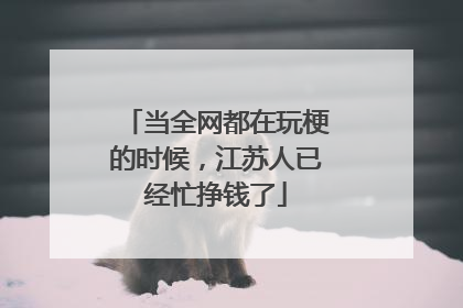 当全网都在玩梗的时候，江苏人已经忙挣钱了