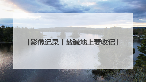 影像记录丨盐碱地上麦收记
