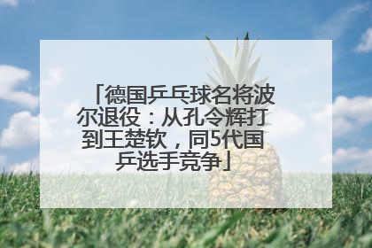 德国乒乓球名将波尔退役：从孔令辉打到王楚钦，同5代国乒选手竞争