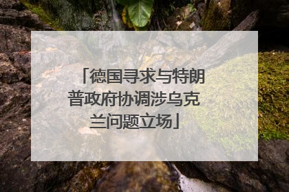 德国寻求与特朗普政府协调涉乌克兰问题立场