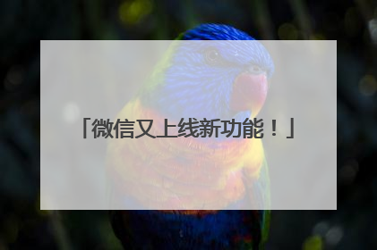 微信又上线新功能！