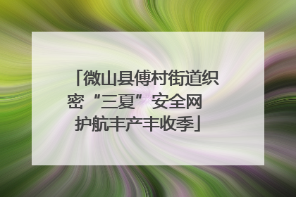 微山县傅村街道织密“三夏”安全网 护航丰产丰收季