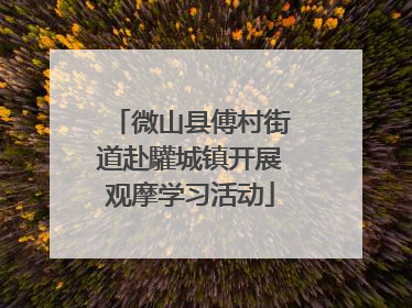 微山县傅村街道赴驩城镇开展观摩学习活动