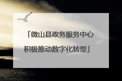 微山县政务服务中心积极推动数字化转型