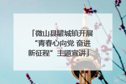 微山县驩城镇开展“青春心向党 奋进新征程”主题宣讲