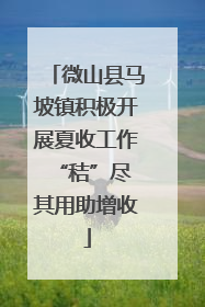 微山县马坡镇积极开展夏收工作 “秸”尽其用助增收