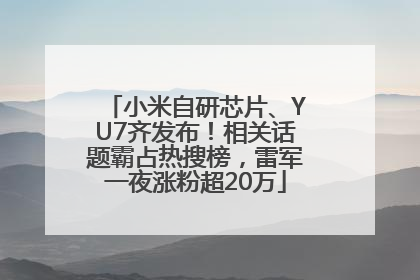 小米自研芯片、YU7齐发布！相关话题霸占热搜榜，雷军一夜涨粉超20万