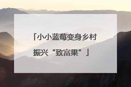 小小蓝莓变身乡村振兴“致富果”