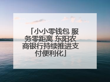 小小零钱包 服务零距离 东阳农商银行持续推进支付便利化