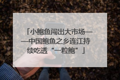 小鲍鱼闯出大市场——中国鲍鱼之乡连江持续吃透“一粒鲍”