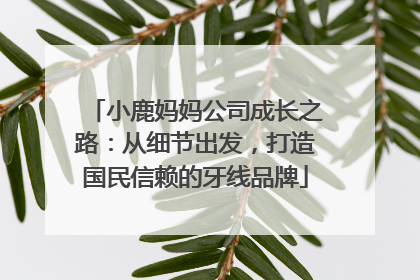 小鹿妈妈公司成长之路：从细节出发，打造国民信赖的牙线品牌