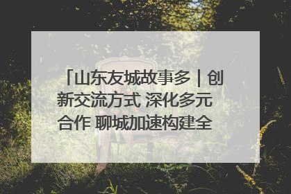 山东友城故事多｜创新交流方式 深化多元合作 聊城加速构建全球友城新格局