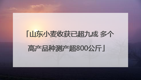 山东小麦收获已超九成 多个高产品种测产超800公斤