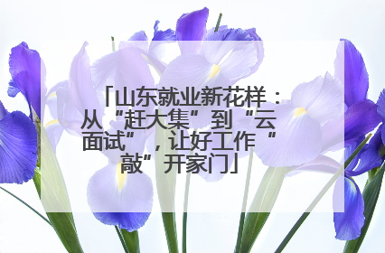 山东就业新花样：从“赶大集”到“云面试”，让好工作“敲”开家门