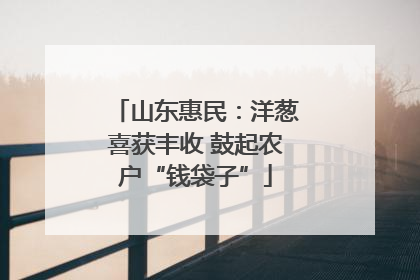 山东惠民：洋葱喜获丰收 鼓起农户“钱袋子”