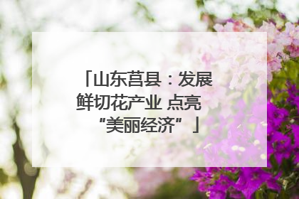 山东莒县：发展鲜切花产业 点亮“美丽经济”