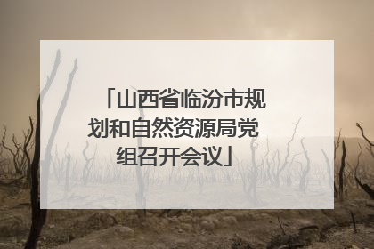 山西省临汾市规划和自然资源局党组召开会议