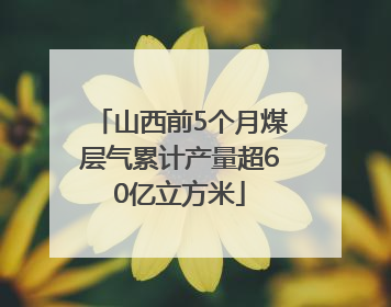 山西前5个月煤层气累计产量超60亿立方米