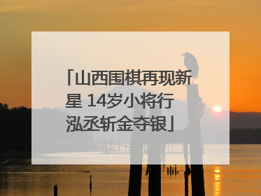 山西围棋再现新星 14岁小将行泓丞斩金夺银
