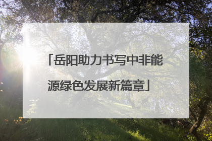 岳阳助力书写中非能源绿色发展新篇章