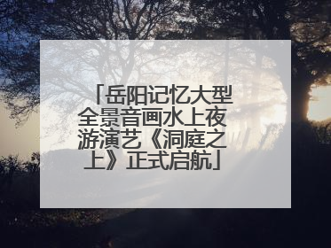 岳阳记忆大型全景音画水上夜游演艺《洞庭之上》正式启航