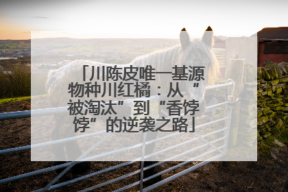 川陈皮唯一基源物种川红橘：从“被淘汰”到“香饽饽”的逆袭之路