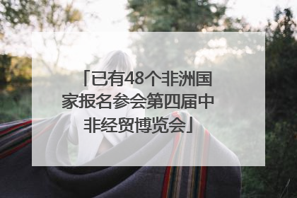 已有48个非洲国家报名参会第四届中非经贸博览会