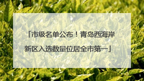 市级名单公布！青岛西海岸新区入选数量位居全市第一