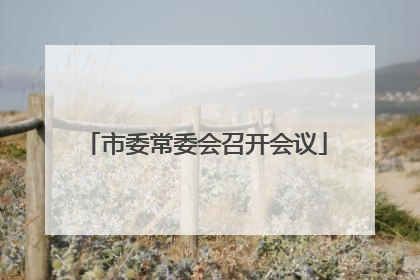 市委常委会召开会议