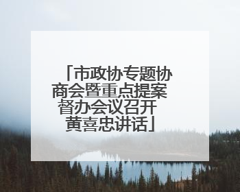 市政协专题协商会暨重点提案督办会议召开 黄喜忠讲话