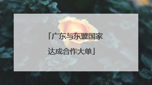 广东与东盟国家达成合作大单