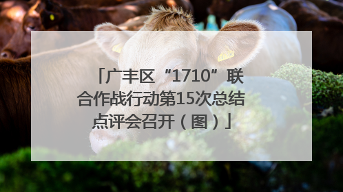广丰区“1710”联合作战行动第15次总结点评会召开（图）