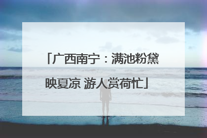 广西南宁：满池粉黛映夏凉 游人赏荷忙