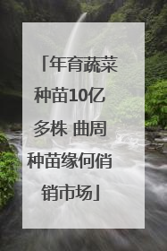 年育蔬菜种苗10亿多株 曲周种苗缘何俏销市场